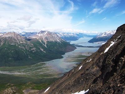 Alaska Bush