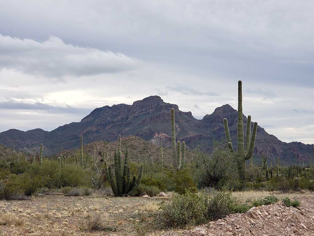 organ-pipe-mountain-background