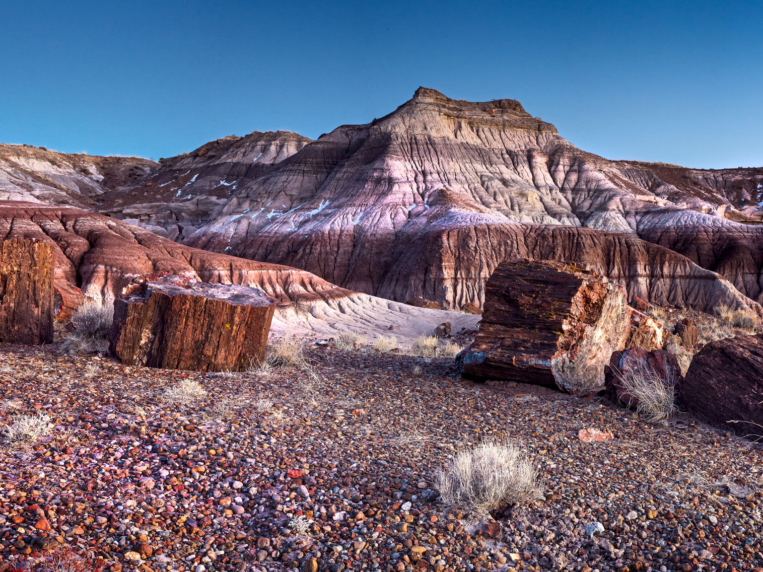 petrified-forest-painted-desert