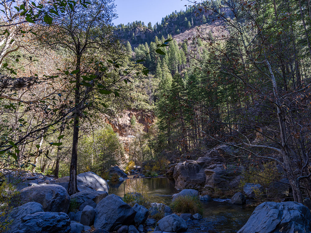A.B. Young Trail in Sedona Arizona with forest scenery and hiking path in Coconino National Forest