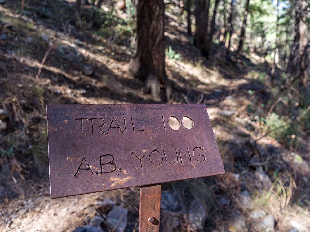 Scenic view along A.B. Young Trail in Sedona Arizona featuring trees and mountain landscape