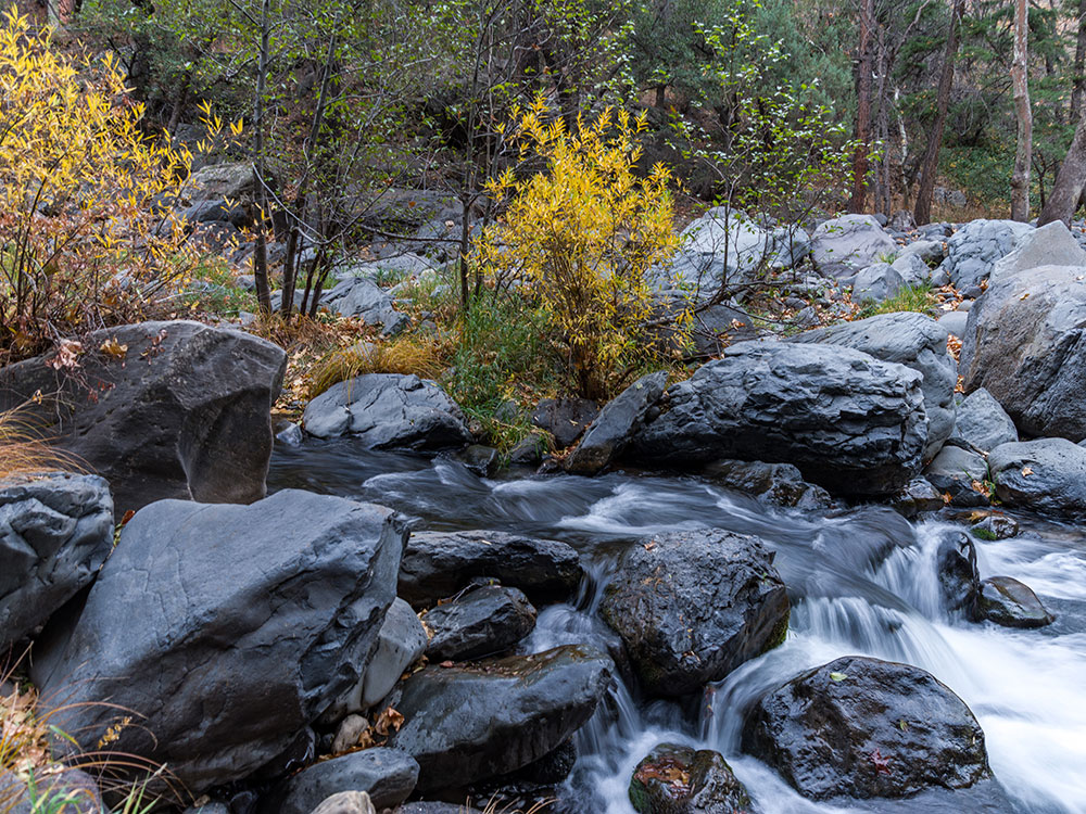 Creek crossing on A.B. Young Trail in Sedona Arizona with water, rocks, and forest surroundings