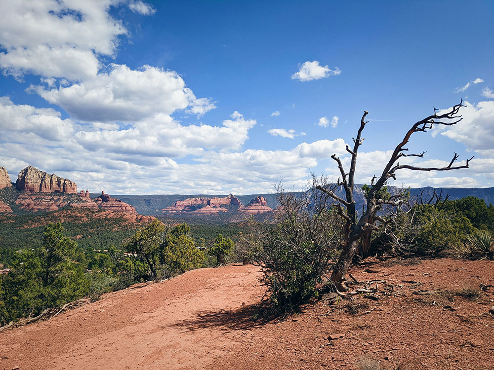 sedona-road