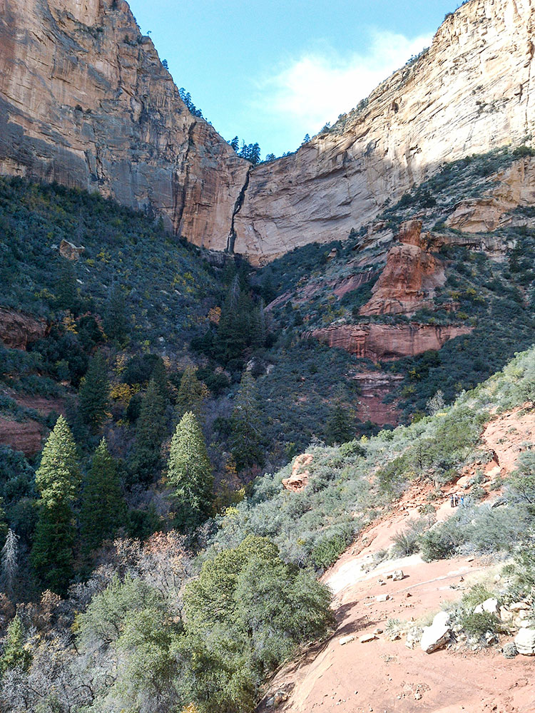 Vertical view of Boynton Canyon Trail Sedona Arizona showing cliffs and desert plants