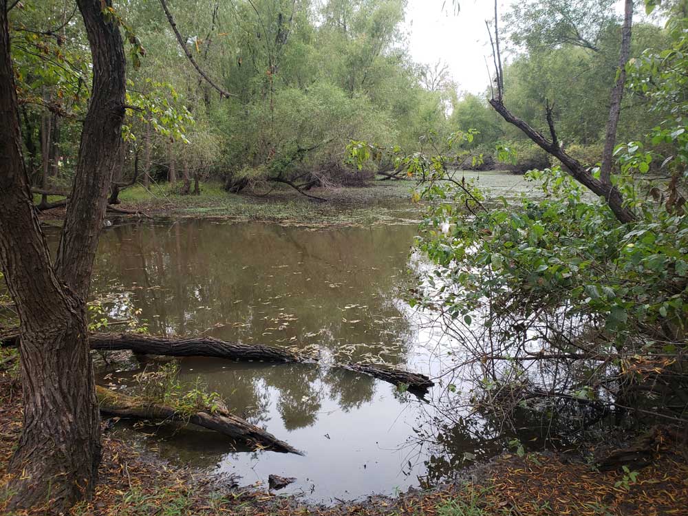 Two Rivers Bridge Park Pond