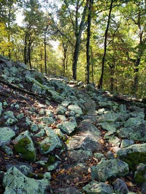 Mount Nebo State Park Summit Trail