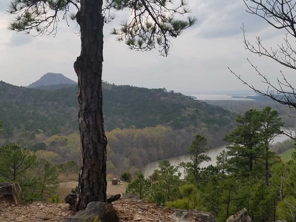 Pinnacle Mountain State Park East Quarry Trail 2