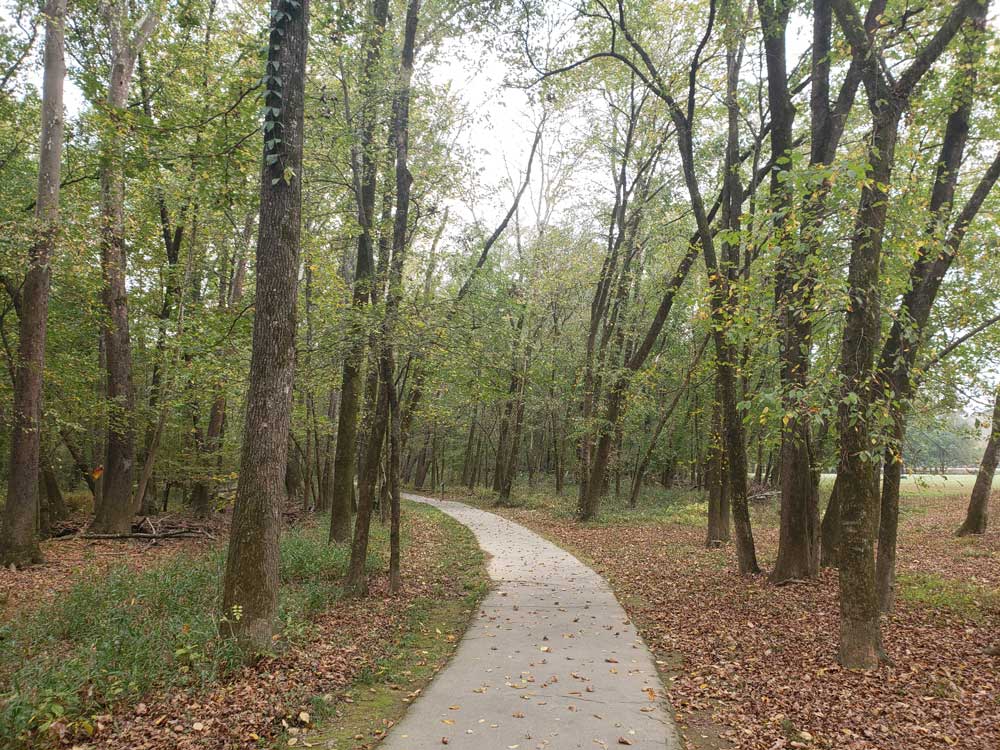 Pinnacle Mountain State Park Kingfisher Trail Walkway