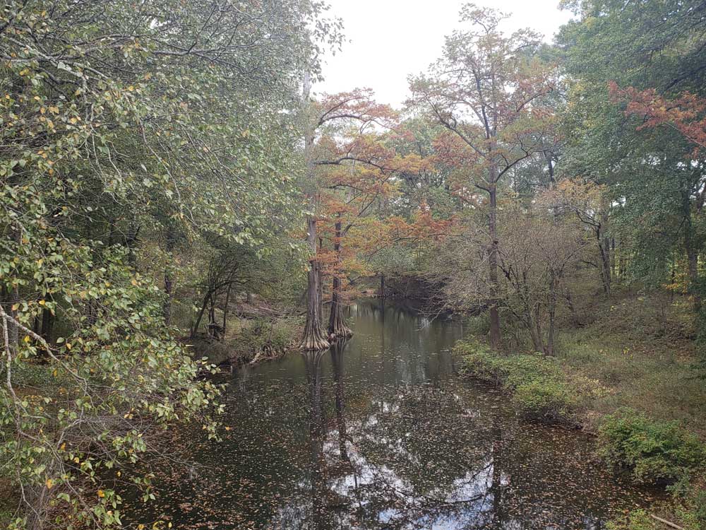 Pinnacle Mountain State Park Stream