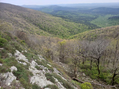 Queen Wilhelmina State Park