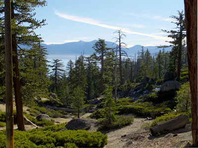 D.L. Bliss State Park on the western shore of Lake Tahoe, California
