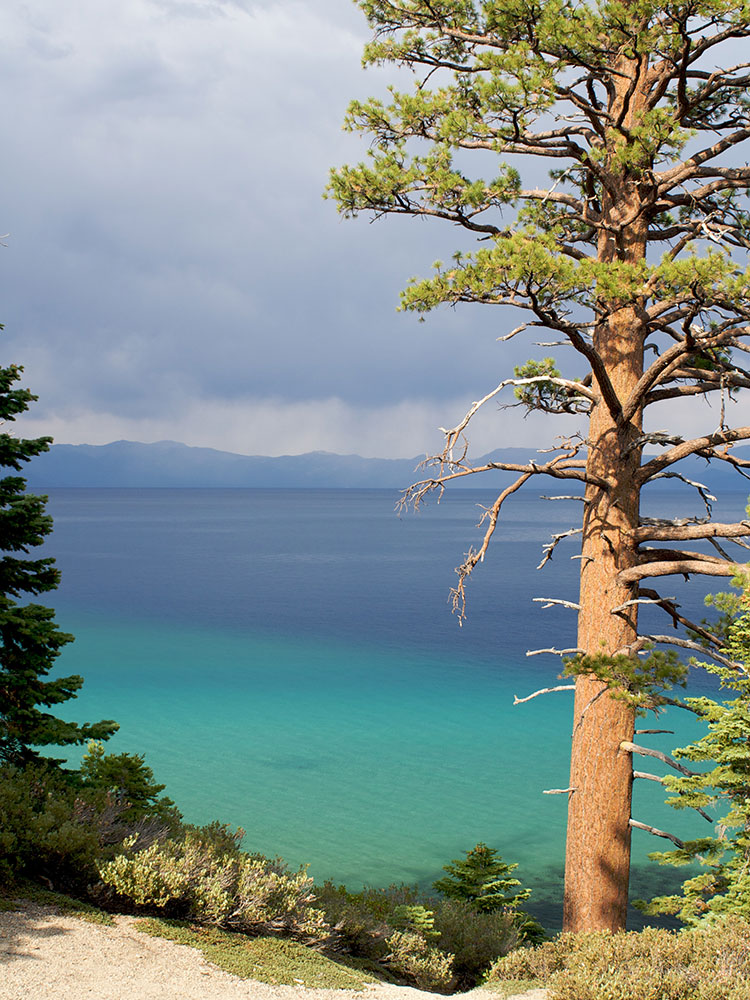 Crystal clear water of Lake Tahoe at D.L. Bliss State Park, California
