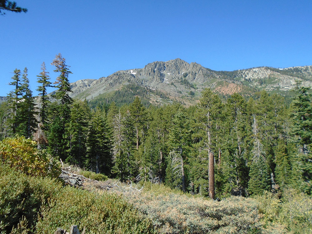 Mount Tallac peak viewed from the Mount Tallac Trail, Lake Tahoe, California