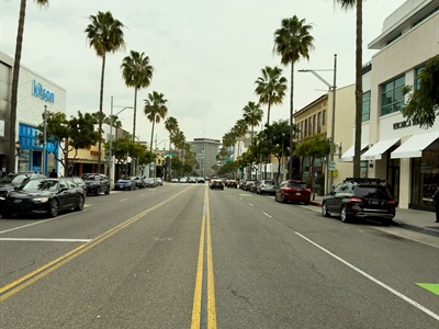 Abbot Kinney Blvd