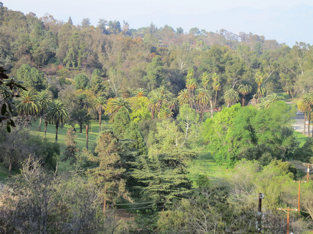 Elysian Park in Los Angeles, California