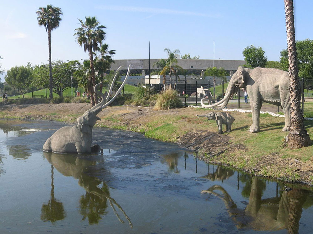 Mammoth sculptures in the tar lake at La Brea Tar Pits, Los Angeles