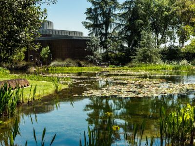 Norton Simon Museum