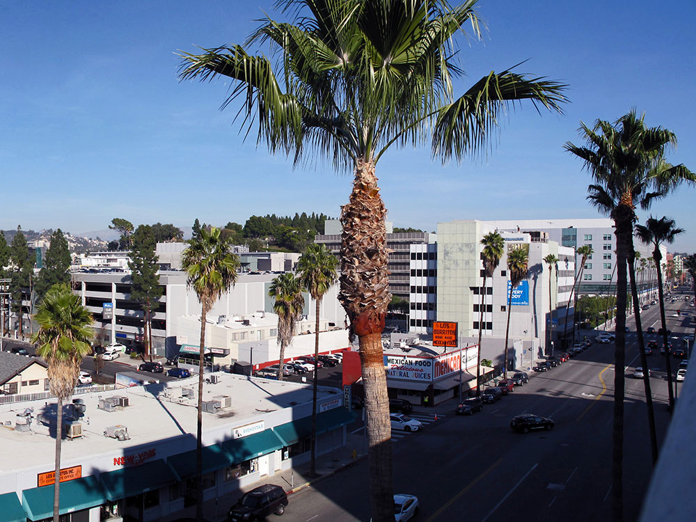 venice-beach-graffiti