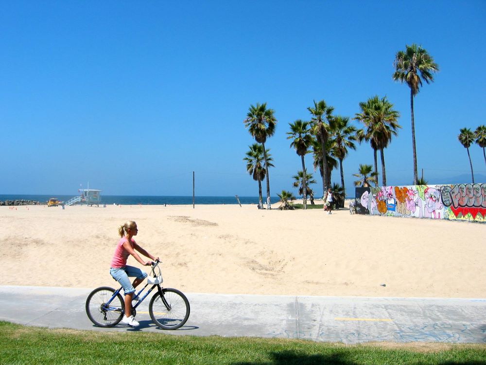 Venice Beach boardwalk with vendors and street performers, Los Angeles
