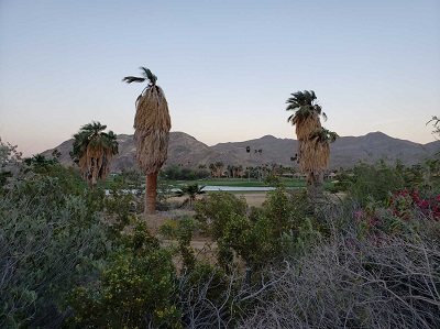 Palm Springs