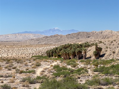 San Gorgonio Mountain