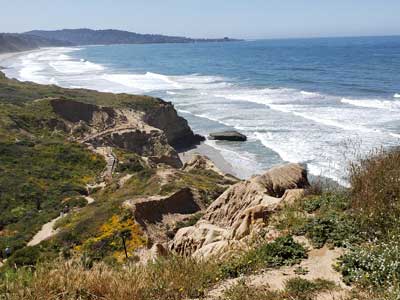 Torrey Pines State Preserve