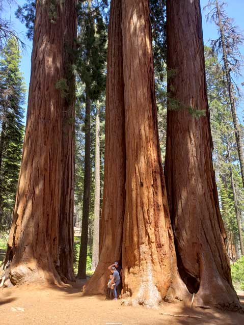 Sequoia NP Parker Group Itinerary Photo