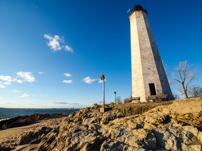 Badlands Bighorn Sheep Sage Creek Road
