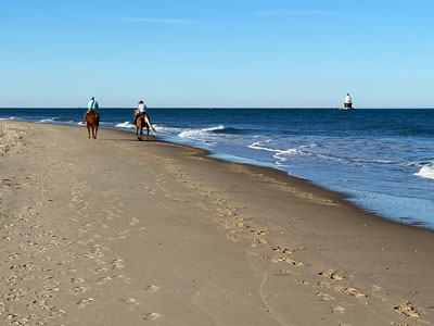 Cape Henlopen State Park, Delaware