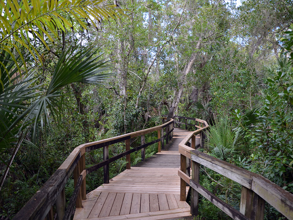 ft-lauderdale-las-olas