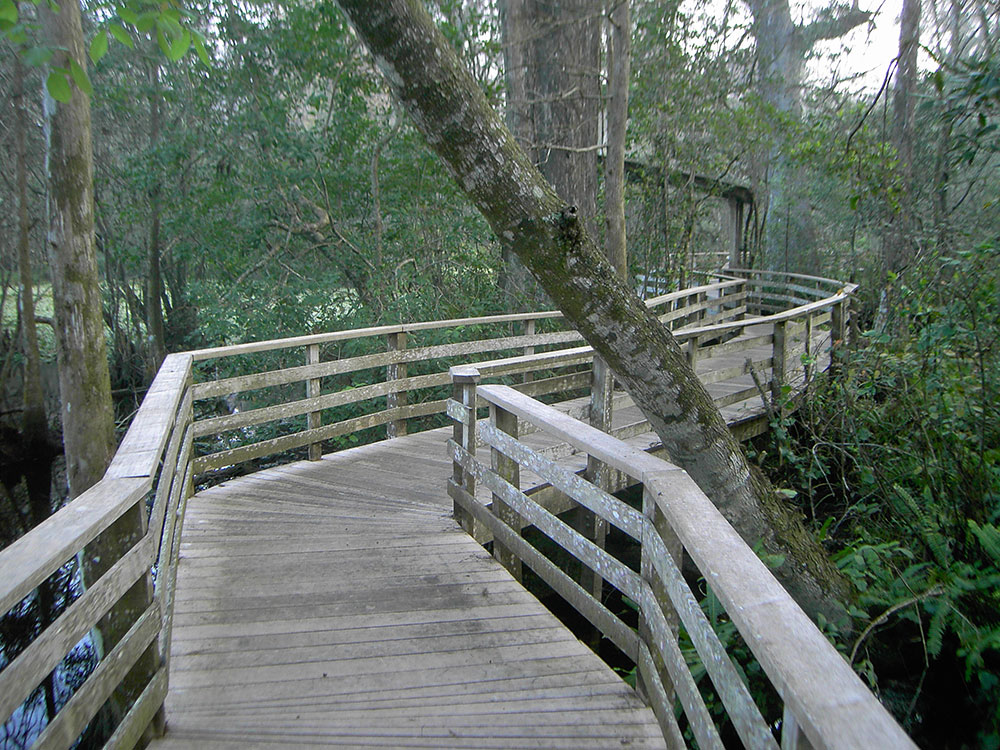 biscayne-boardwalk-two