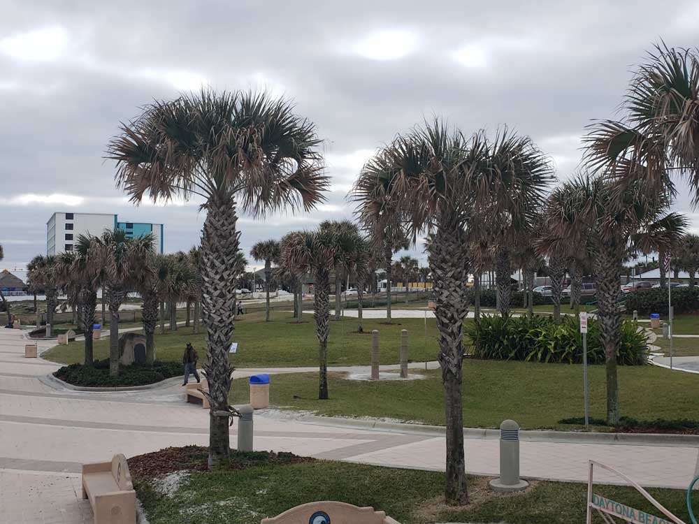 daytona-park