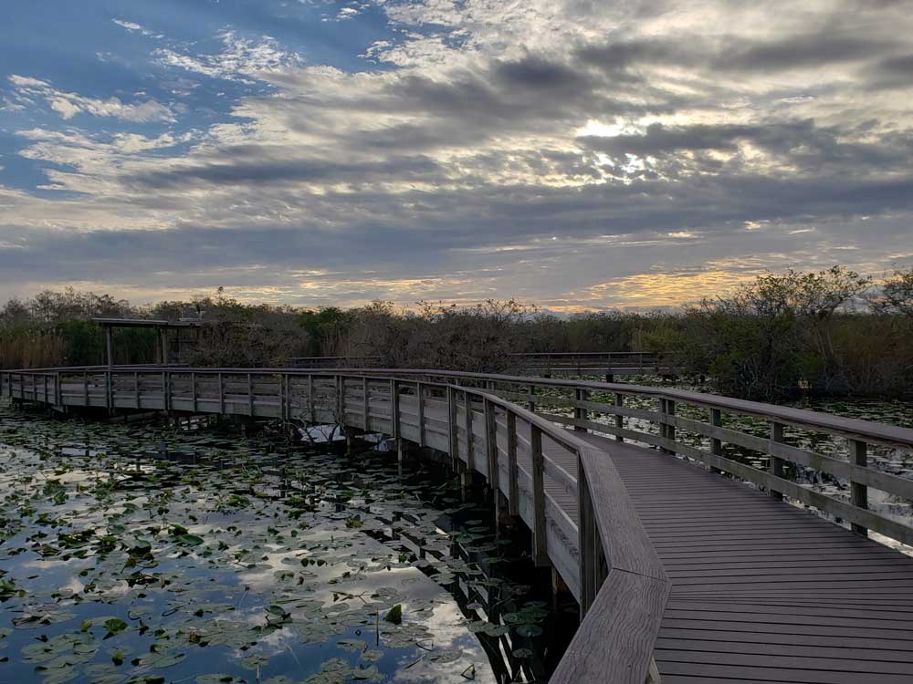 Anhinga Trail Boardwalk