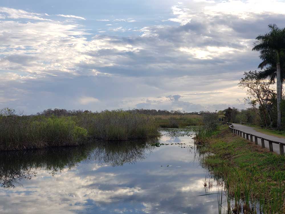 Anhinga Trail Pond