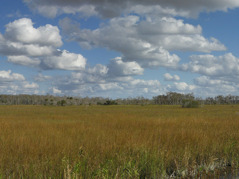ft-lauderdale-las-olas