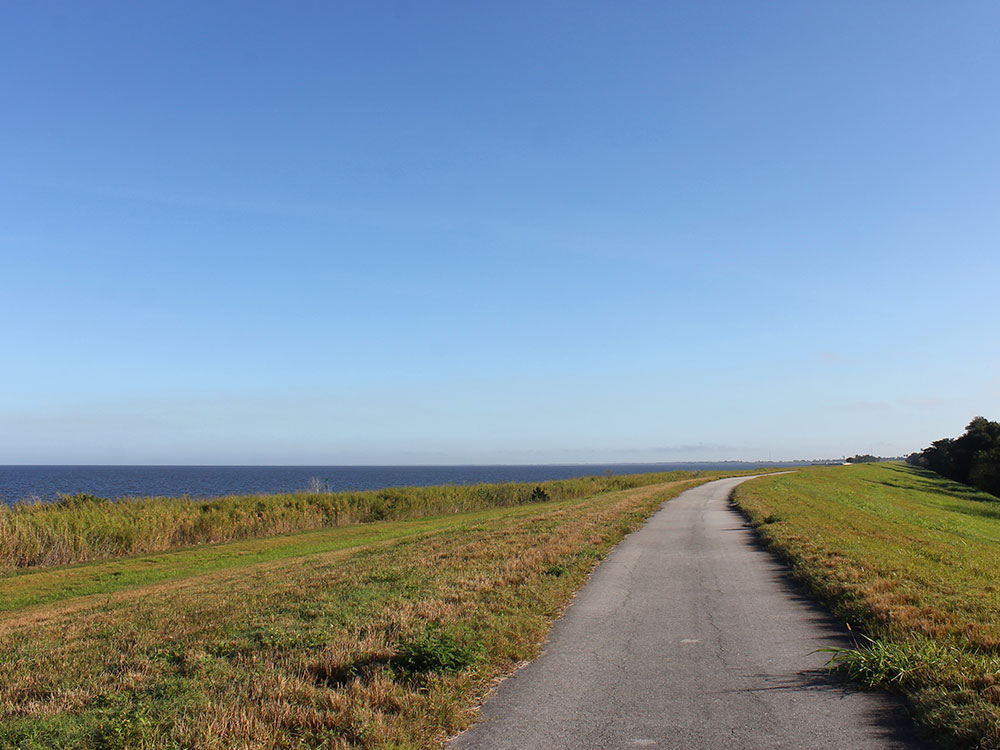 ft-lauderdale-thrive