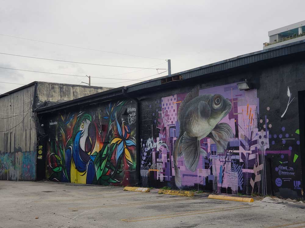 wynwood-walls-fish-parrot