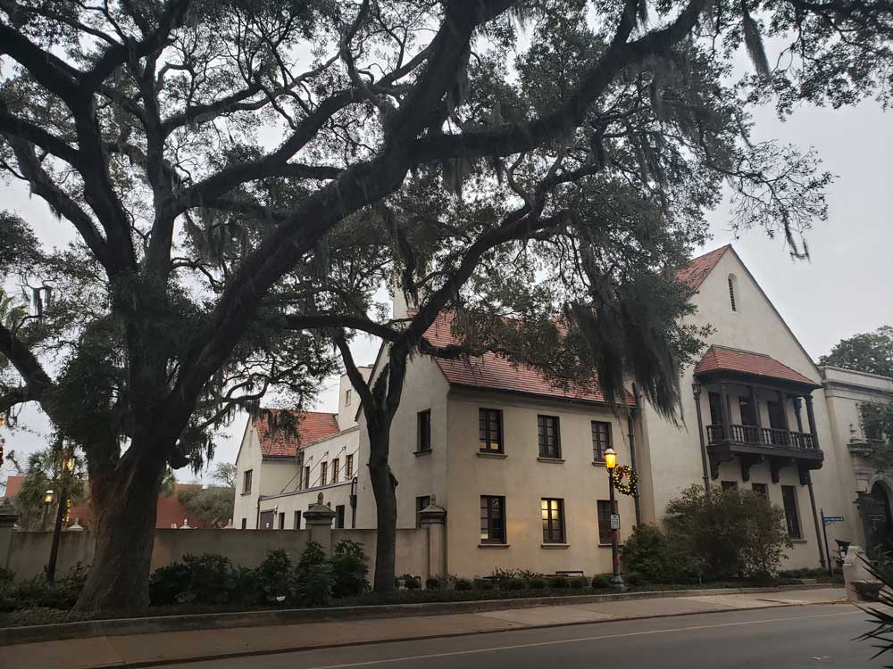 st-augustine-tree