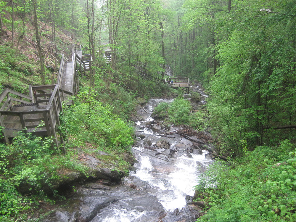 bonaventure-cemetery-moss-walkway