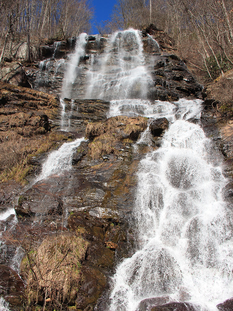 bonaventure-cemetery-flowers
