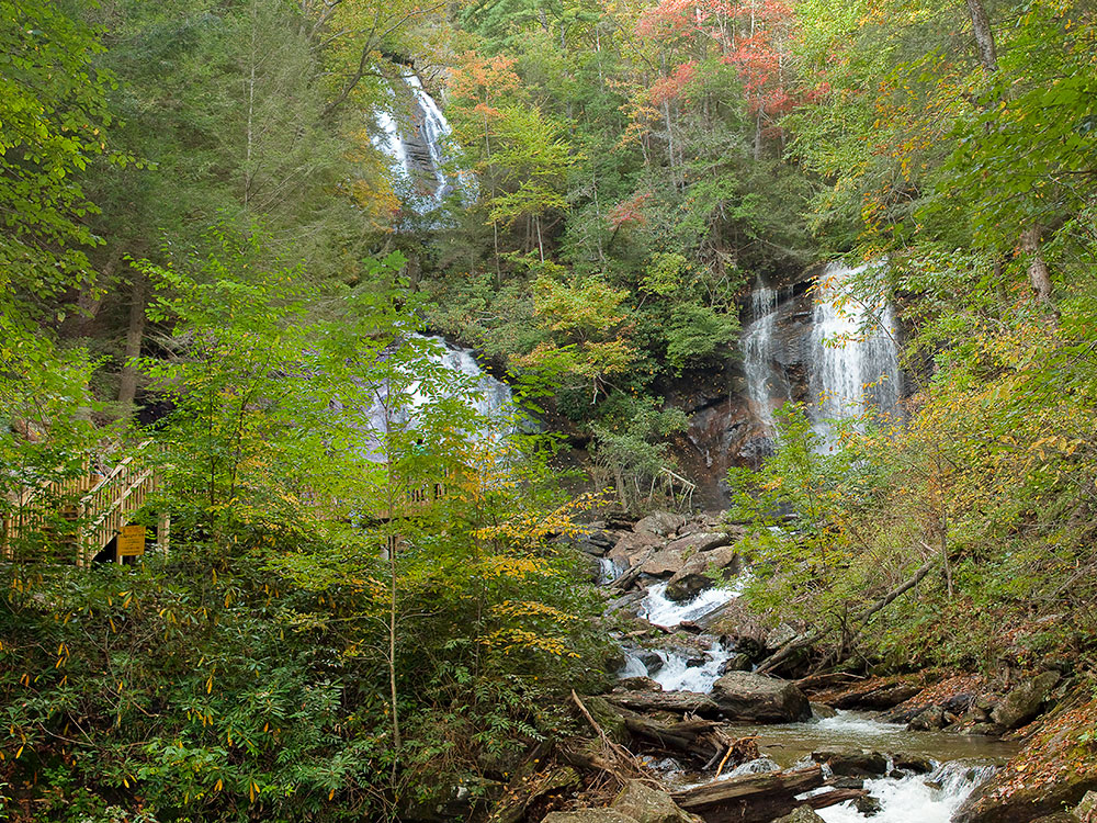 bonaventure-cemetery-moss-trees