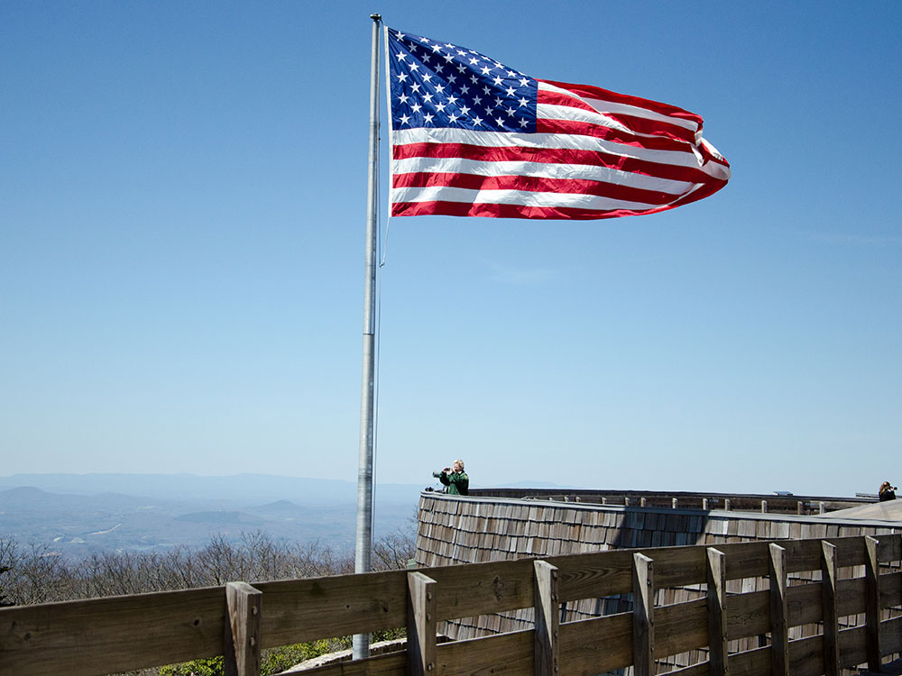bonaventure-cemetery-moss-walkway