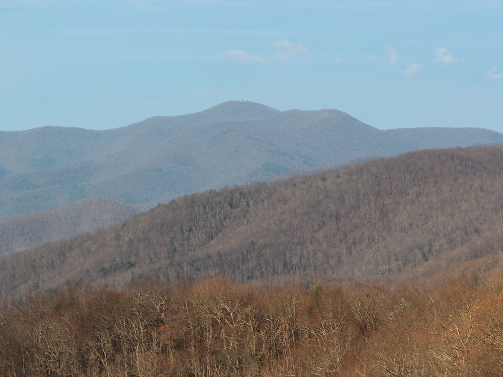 bonaventure-cemetery-moss-trees