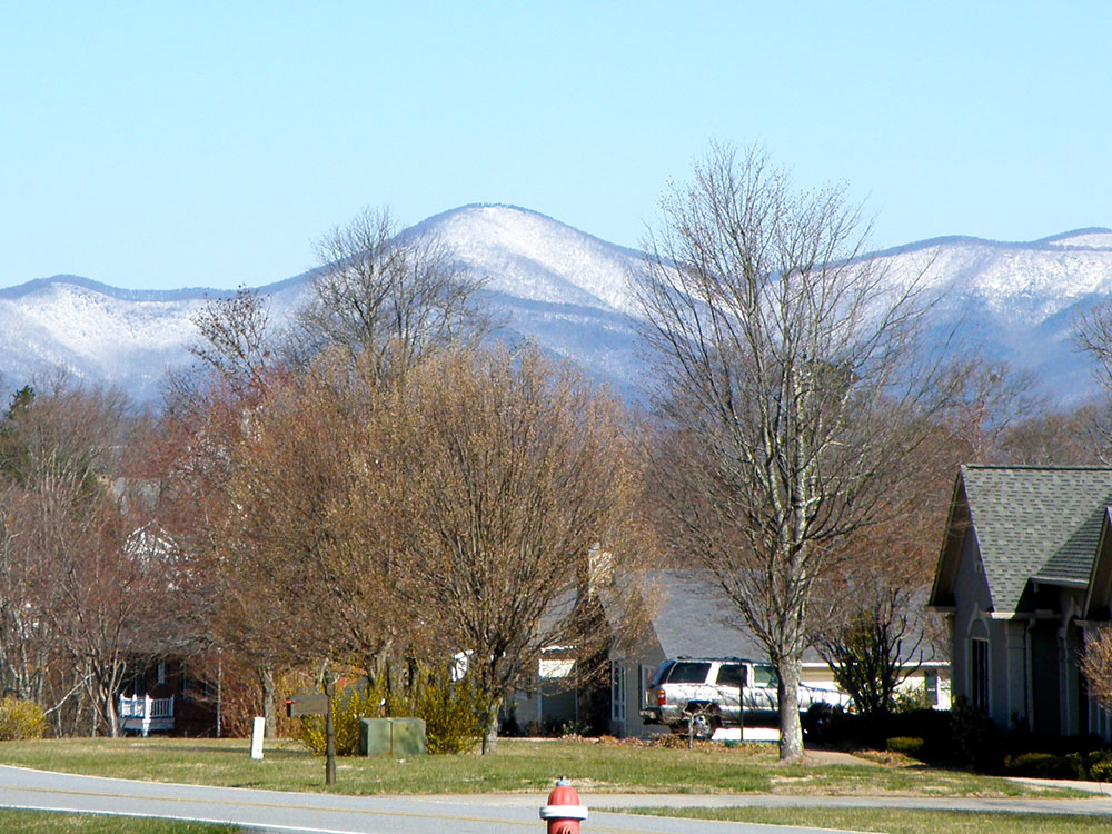 bonaventure-cemetery-moss-trees