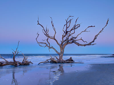 Great Smoky Mountains National Park Chimney Tops Trail