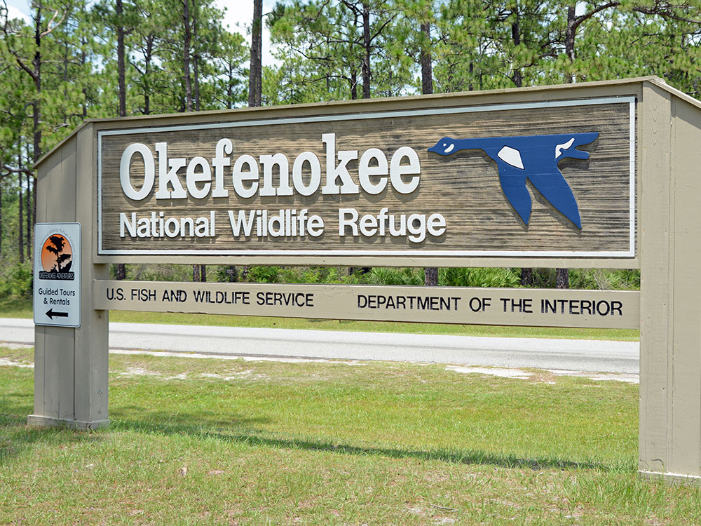 bonaventure-cemetery-flowers