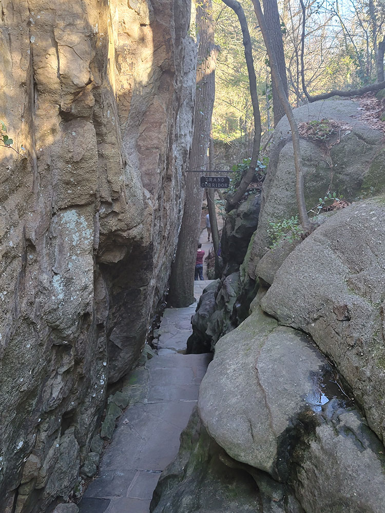 bonaventure-cemetery-flowers