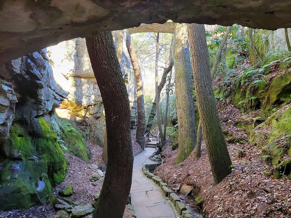bonaventure-cemetery-walking-path