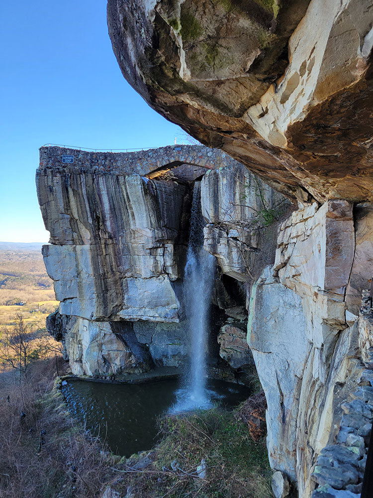 bonaventure-cemetery-moss-walkway