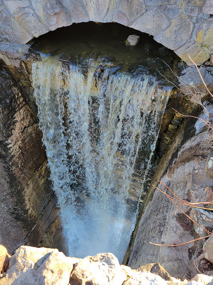 bonaventure-cemetery-walking-path